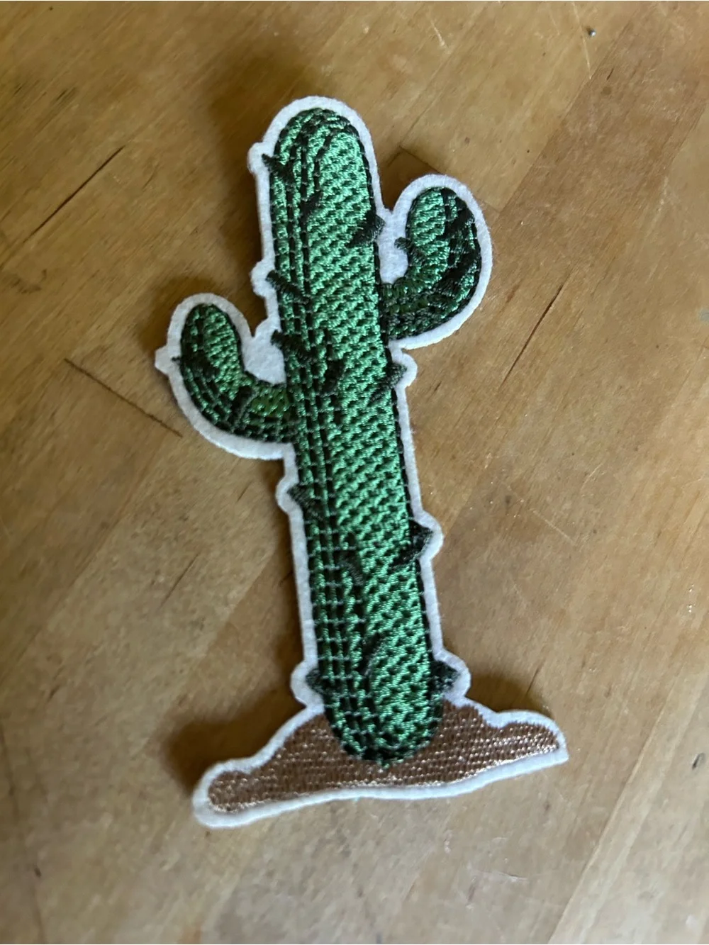 Green Cactus Iron-On Patch - Decorative Women Accessory